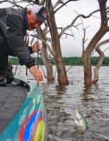 Vertical structure is a friend to the weekend fisherman looking for a place to fish. Find good cover away from the crowd to catch a good mess of fish.