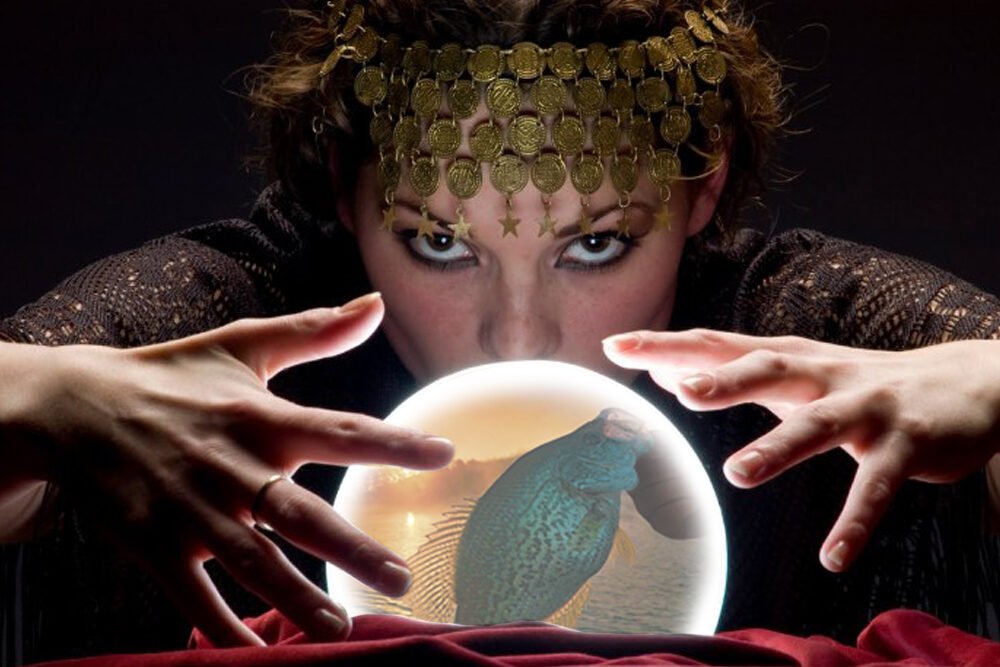 Fishing guides are, or at least should be, highly experienced anglers with lots of great answers to the hardest fishing questions. But sometimes potential clients seem to think guides might have a crystal ball and actually be able to see into the future.