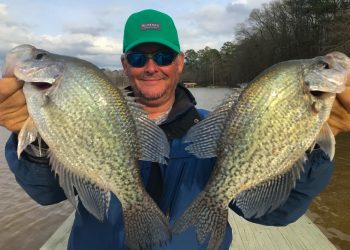 Capt. Doug Nelms displays two of the slab crappie that are caught in large numbers on Lake Oconee.