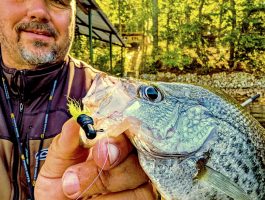 Jigs are Donald’s favorite for Lake Hartwell slabs, fished around woody cover; depth will vary with the season.