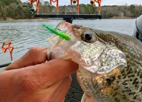 The Green Crappie Jig is Herb Thompson’s biggest seller. It works in a wide variety of crappie-fishing scenarios.