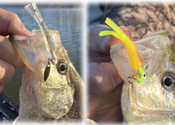 Nobody knows EXACTLY what a fish sees… lure colors vary and are altered dramatically by water clarity and depth. So, is lure color still important or does lure presentation usually rule the day?