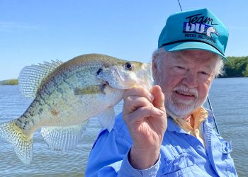 Some northern lakes or farm ponds a 3-year-old crappie may be only 9-inches long. But this white crappie author Steve McCadams caught in Tennessee’s Kentucky Lake is likely 4 or 5 years old.