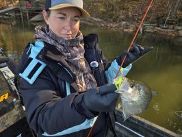 The Silverfish Minnow Mind’r on a 1/16-ounce chartreuse jig head looked too good for this black crappie to resist as it vibrated back to the boat on a slow retrieve off the bank of Weiss Lake. Photo by Lee Pitts
