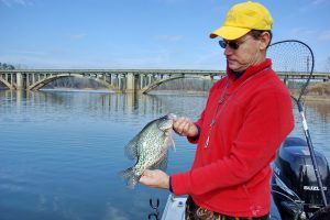 A creek channel near the Self Creek Bridge over Lake Greeson produced this nice slab for Arkansas angler Lewis Peeler. This Corps of Engineers reservoir near Kirby has a well-deserved reputation as a jumbo crappie destination.