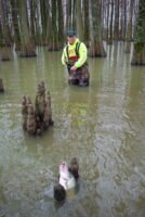Mississippi crappie guide Brandon Fulgham often wade fishes in Magnolia State oxbow lakes where big spring crappie are plentiful. (Photo: Keith Sutton)