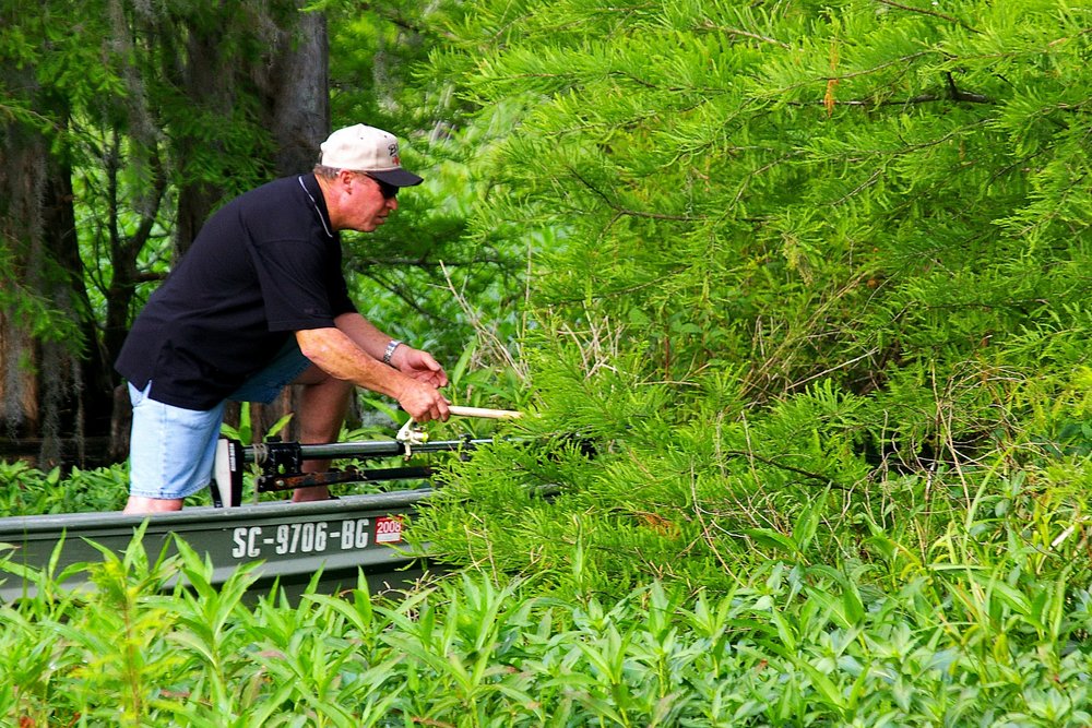 Beating the Bushes, by Keith Sutton