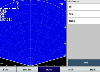 Garmin's Perspective View radial grids look like this without a sonar image.