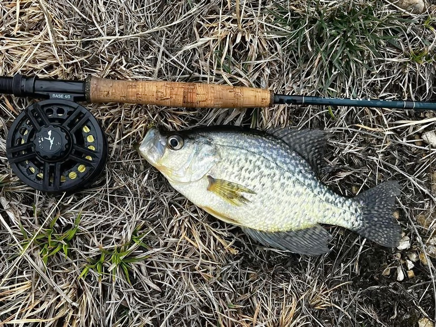 Crappie Fishing on the Fly - Crappie Now