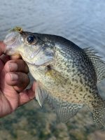 For Kim Burnett, spring is the time to go fly fishing for crappie and bluegills.