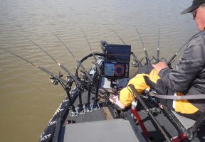 Falling water causes crappie to move out of shallow water. Slow trolling (spider rigging) is a great technique for easing along looking for crappie suspended in the water.