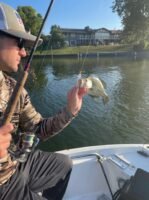 The Mayfly is lethal throughout the year and can be fished effective in multiple crappie fishing scenarios. (Photo courtesy Doug Sikora)