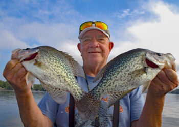 In his many decades as an avid crappie angler, Dickey Porter has the fileting process down to a fine art. (Photo: Richard Simms)