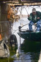 There are no limits to good covers that hold crappie. Louie Mansfield pulls a crappie from inside a duck blind. He says, “When jigging, you get to feel the hit, set the hook and land the fish.”