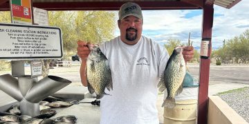 Dropping a 1/8-ounce jig in front of a desert reservoir slab crappie has been a specialty of Randy Howton. His love for crappie fishing and taking others out started after the passing of his father and many hours dedicated to perfecting his skills with live imaging sonar.