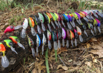 The complete line of deep diving PICO crankbaits covers every fishing color you would ever need to troll with, wherever you fish. (Photo: Brad Wiegmann)
