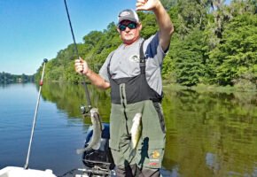 Gerald Overstreet pulls crappie in two at a time from the Alabama River. These crappie were caught using a double-hook minnow rig. (Photo: Tim Huffman)