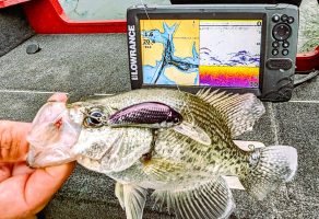 Crappie marked on the graph, coupled with a productive trolling pattern, enables Capt. Lillie to put summertime slabs in the boat. (Photo: Terry Madewell)