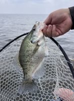 Unlike more well-known Mississippi lakes, on Barnett Reservoir there is no size limit on crappie and anglers can keep up to 30 fish per day. But there are still plenty of fish found here that will have anglers yelling, “Get the net!” (Photo: Richard Simms)