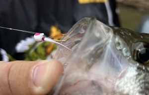 One of McCoy’s favorite clear water jigs for casting to brushpiles is a Popeye jig by Crappie Magnet. Note that he also likes to tie it with a loop knot, which provides the jig more freedom of movement and natural action. (Photo: Tim Huffman)