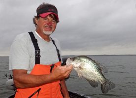 Ronnie Capps displays a nice crappie taken from open-water cover. He says being on the right structure and cover for the season is critical for finding numbers of fish. His tip for today’s spooky crappie is to get as far from the fish as possible. He uses a B’n’M 24.5-foot Ambush telescopic pole to avoid spooking fish.