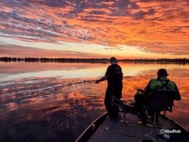 Phillip Cox proves to be an A+ student as he brings in a crappie with perfect form—keeping tension on the line and the rod low to the water.