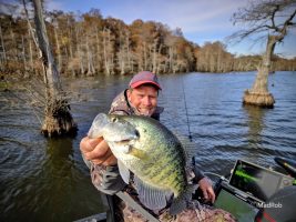 For many fishermen, using forward-facing sonar to target crappie in shallow water can be challenging. Steve Coleman demonstrates how much of a breeze it can be when Ambush crappie fishing.