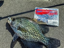 The NanoSwim baits come in a pack of 18 lures for $3.79. (Photo courtesy American Baitworks)