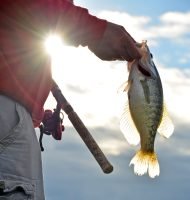 The sun helps show off a crappie Brown caught fishing a lake he had never visited before. (Photo: Richard Hines)