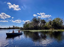 Anglers on the St. Johns River have a variety of habitats and methods to use while targeting crappie. Photo credit: Anietra Hamper 