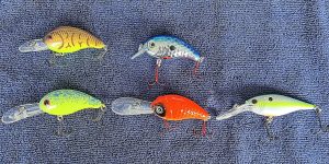 Top line (l to r): Bandit mid-depth 200-series; Pico shallow water Squarebill. Bottom line (l to r) deepwater baits: Bandit 300; Pico INT; Berkley Flicker Shad