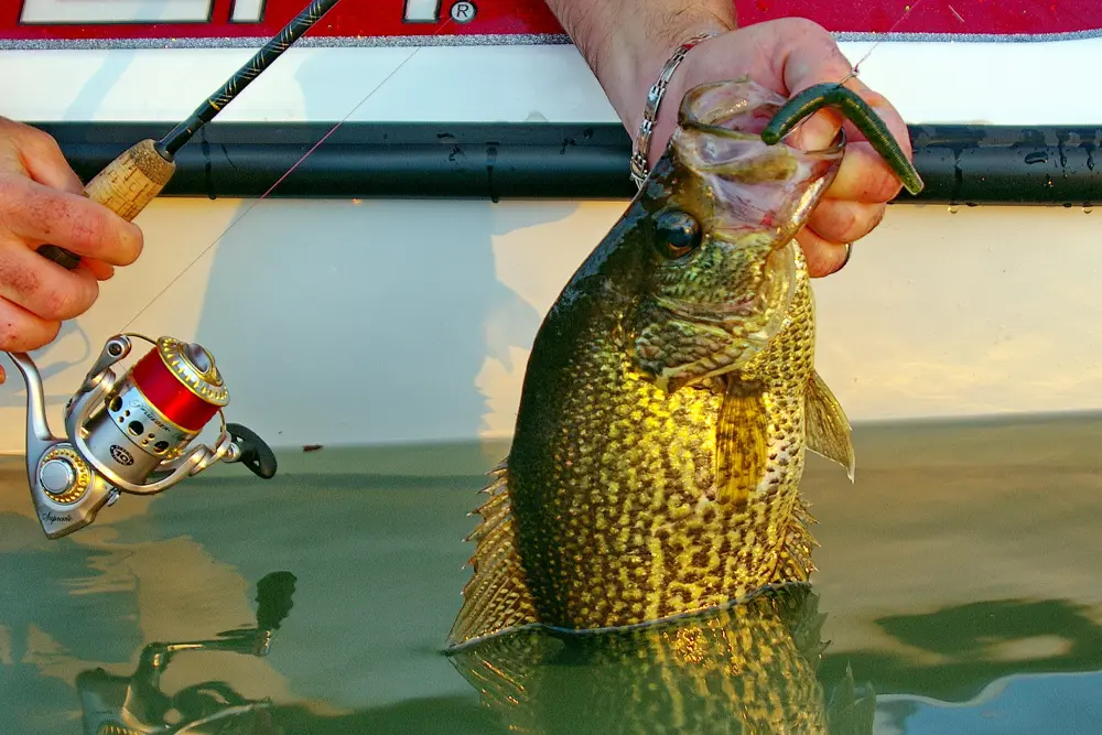 best trout fly reels 2017 How to pick a fly reel - And why I choose the Sage TROUT