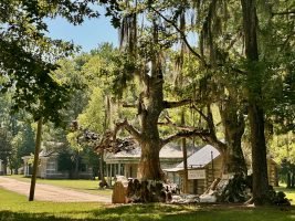 The fictional town of Spectre from the movie “Big Fish” still resides on Jackson Lake Island as a tourist stop for anglers and visitors. (Photo: Anietra Hamper)