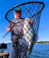 FFS has unique advantages that often – but not always – put more fish in the net.