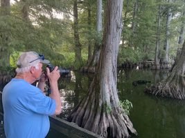 Every outdoorsman deserves a fishing or hunting trips to Reelfoot Lake. This unique outdoor masterpiece was created in 1811 by a massive earthquake that made the nearby Mississippi River actually flow backward, flooding the land. The huge cypress swamps on Reelfoot offer an incredible photo opportunity at every turn.