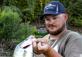 Branson Missouri (Bull Shoals and Table Rock lakes) fishing guide, Jordan Isaacs, says handtied jigs can make a big difference, but so do colors. Pink and yellow with a little gold and sparkle were triggering strikes on this day.