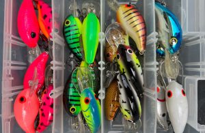Crankbaits move fast in the water and often draw reaction bites. However, experience has shown that the right color is critical to success, even at fast speeds. This box has some all-time top colors.