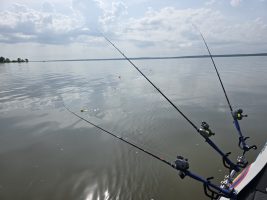 A simple setup for spider rigging to cover more water.