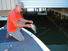 The multitude of docks on Guntersville hold fish most of the year but especially from late fall through the spring. (Photo: Greg McCain)