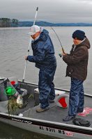 Note the grass in the net as the crappie comes aboard. Despite the grass, fishermen find various ways to catch Guntersville crappie. (Photo: Greg McCain)