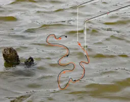 After a fisherman and his partner jigs a stump using typical presentations, playing a game of chase with the jigs might trigger a bite from a reluctant crappie. (Photo: Tim Huffman)