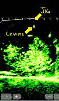In this screen capture of Guillot’s electronics, you can see a crappie pulling away from the main school to take a jig fished “above the fray.” [Don't Spook Your Crappie]