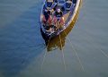 When crappie get finicky, downsizing your bait and presentation can sometimes trigger bites when larger offerings fail.