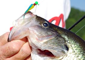 When the crappie bite gets tough, changing the direction of your presentation can sometimes make all the difference.