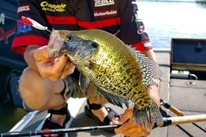 Heddon’s Sonar was the first mass marketed bladebait. It’s been catching crappie for more than 60 years. (Photo: Keith Sutton)