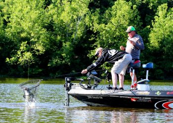 Hair Jigs vs Plastics