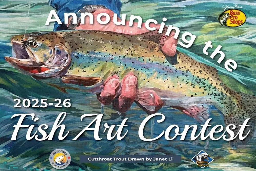 11012025_fish_art_contest1