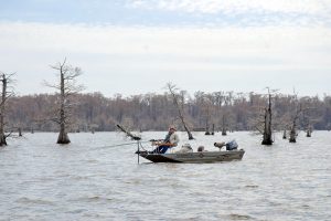 Anglers can plan to have a lake all to themselves on many winter fishing trips, especially during deer or other hunting seasons as crappie may temporarily take the sideline. This angler is on Reelfoot Lake. (Photo by Richard Hines)