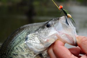 Sometimes a variety of jigs can produce crappie. Don’t get locked in on one bait or one location too long. Give your spot and/or your bait time to produce a fish, but if it doesn’t, don’t hesitate to move or change lures. (Photo by Richard Hines)