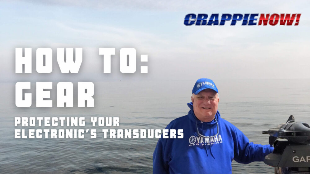 Protect your Electronic’s Transducers